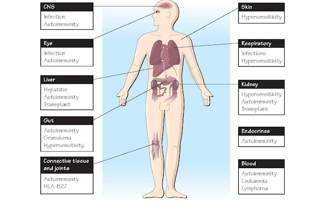 Immunity And Clinical Medicine