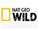 NatGeo logo