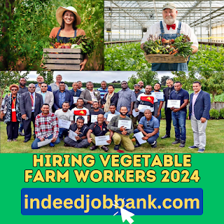 Hiring Vegetable Farm Workers 2024