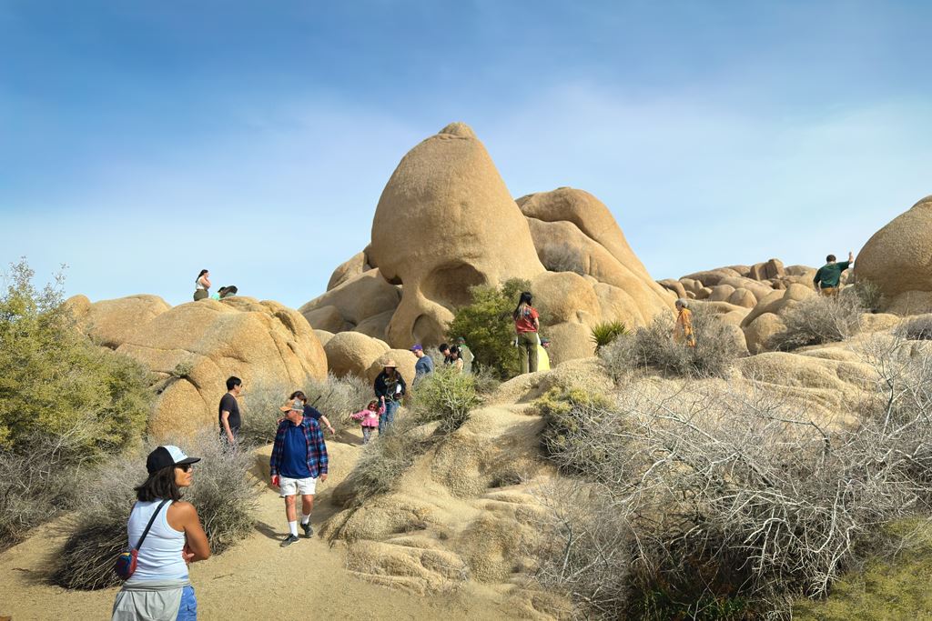 Skull Rock in Joshua Tree National Park teeming with visitors