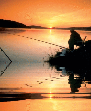 Fishing Tackles