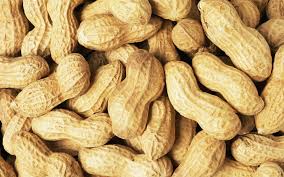 Benefits of peanuts: Why we eat China Nuts?/ Important of China Nuts/ China Badam