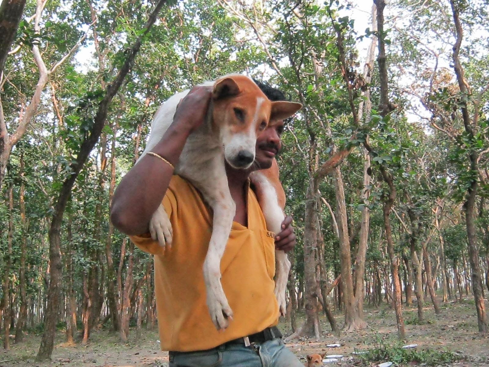 Dog And Man