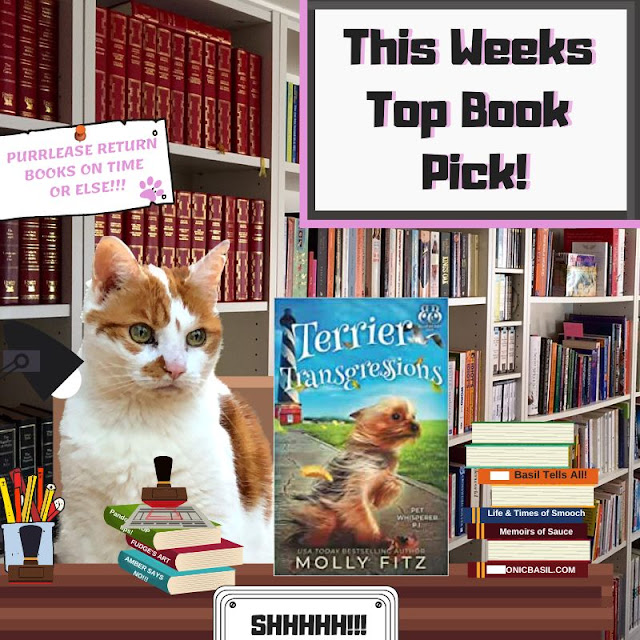 Amber's Book Reviews #240 What Are We Reading This Week ©BionicBasil® Terrier Transgressions by Molly Fitz