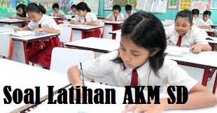 Latihan Soal AKM ANBK SD MI Tahun 2023 – 2024