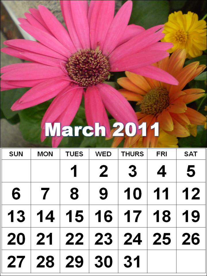 2011 calendar april may june. 2011 calendar april may june.