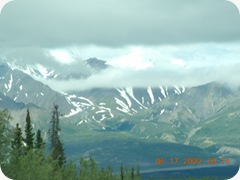 DSCN5404