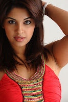 Richa, Gangopadhyay, New, Photoshoots