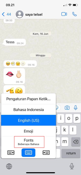 How To Change Whatsapp Font On iPhone 13