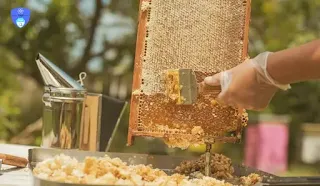 العسل وفوائده الصحية