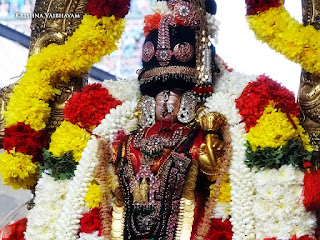 Sri Aandal,Aadipooram,Purappadu,Video, Divya Prabhandam,Sri Parthasarathy Perumal, Triplicane,Thiruvallikeni,Utsavam,