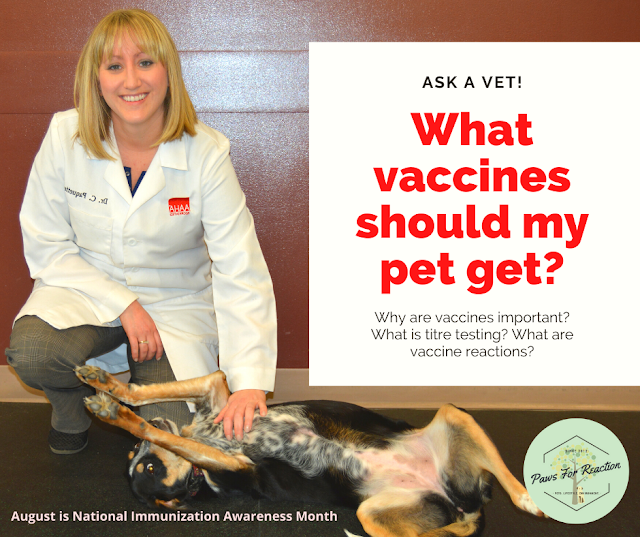 Ask a vet: What vaccines should my dog and cat get?