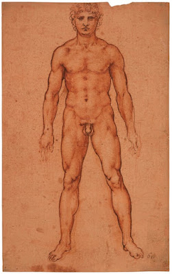Homem Nu de Frente, de Leonardo da Vinci