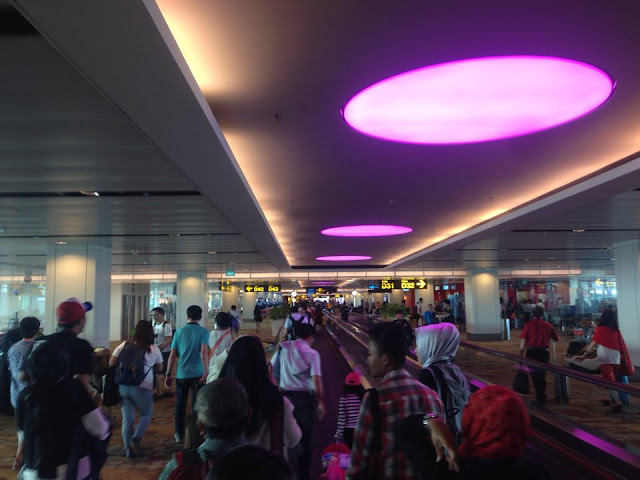 Changi Airport, changed the way I see airports