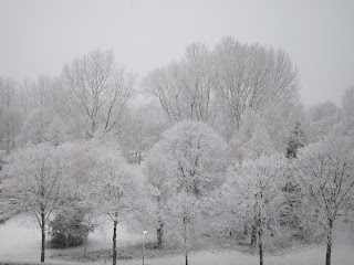 Negara Belanda , Salju