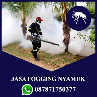 Call : 087871750377 Jasa Fogging Nyamuk di Banyumanik Semarang