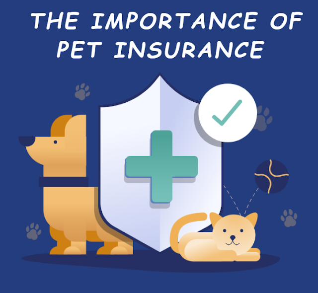  The Importance of Pet Insurance: Protecting Your Furry Friend's Health and Your Wallet