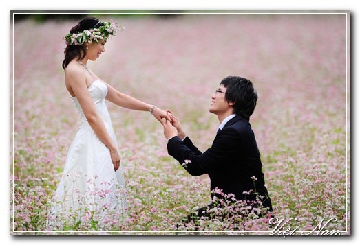 Cảnh Đẹp Việt Nam
