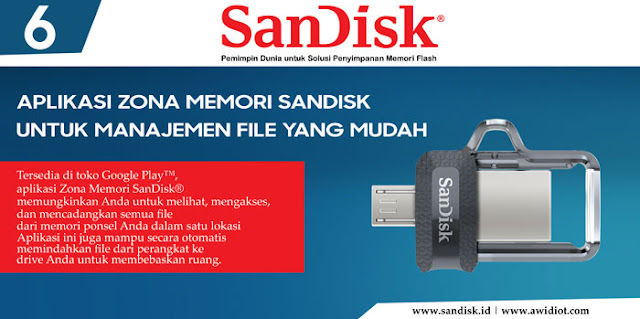 USB OTG SanDisk