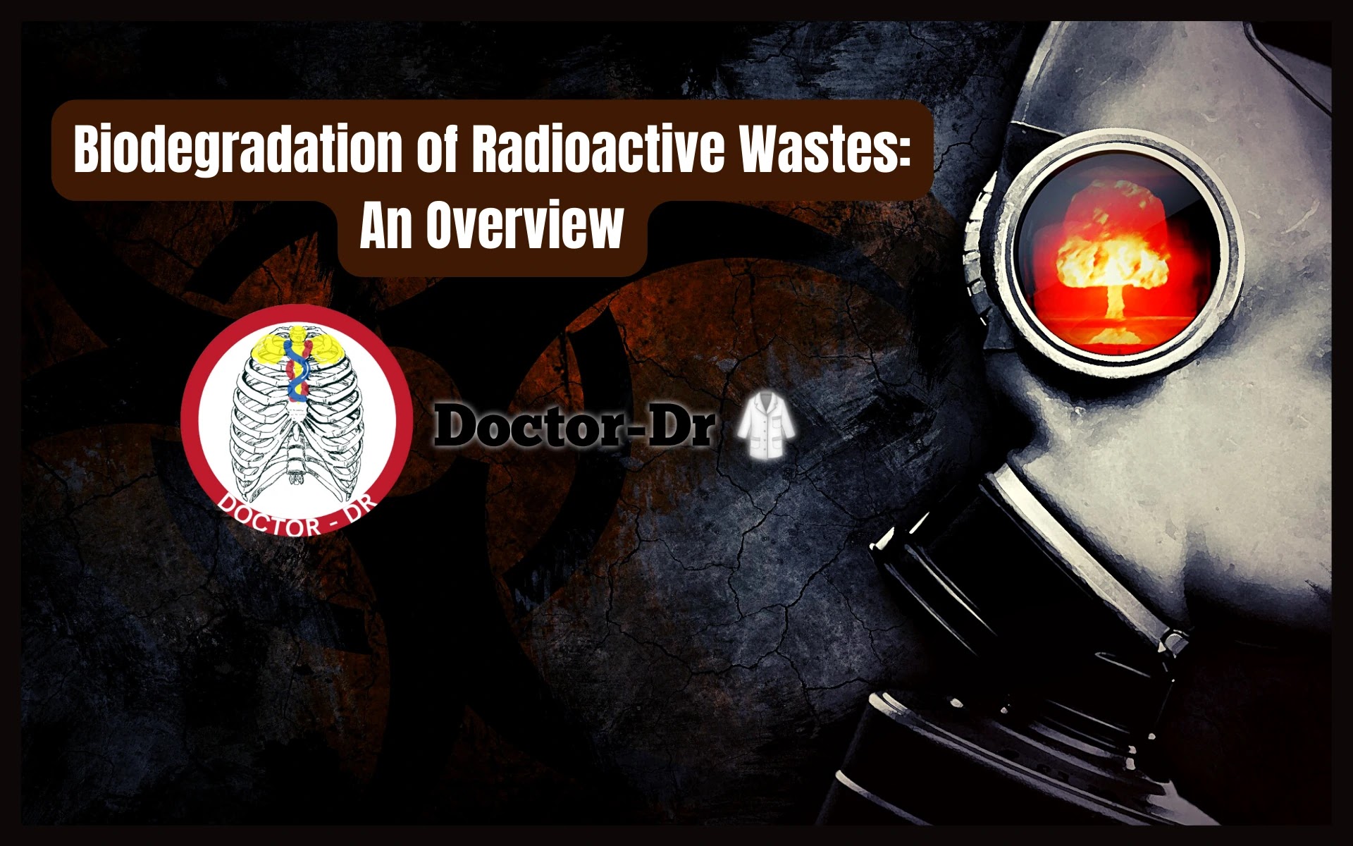 Biodegradation of Radioactive Wastes: An Overview