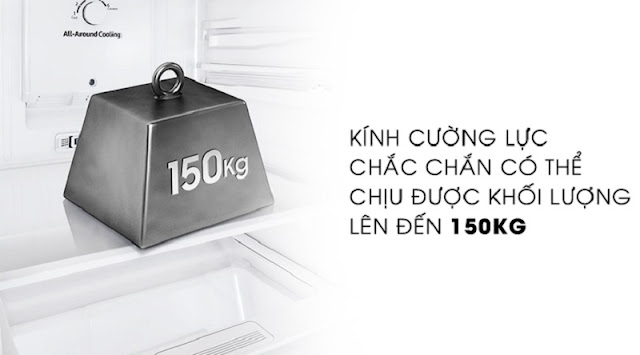 Tủ lạnh Samsung Inverter 256 lít RT25M4033S8/SV 