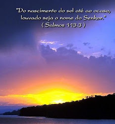 SALMO113.3