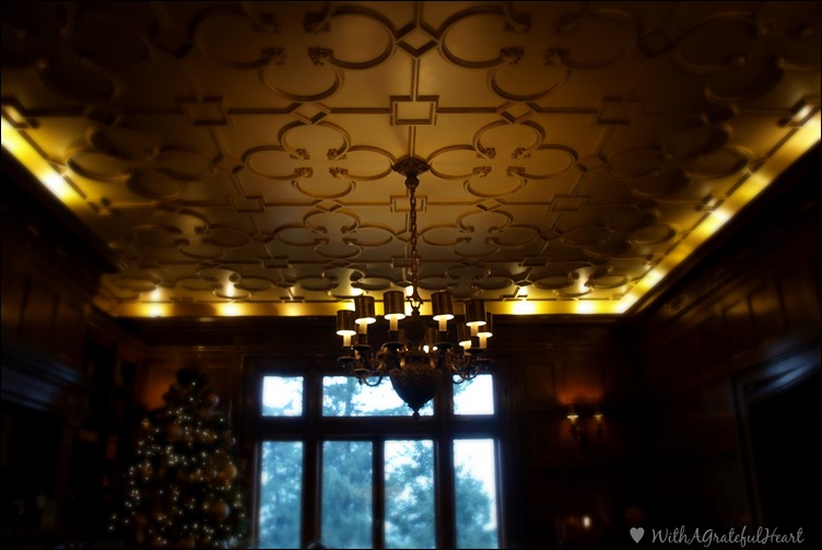 Pittock Mansion - Library Ceiling