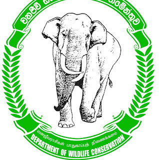 vacancy for forest extension officer souurce  Gazette 27-01-17-