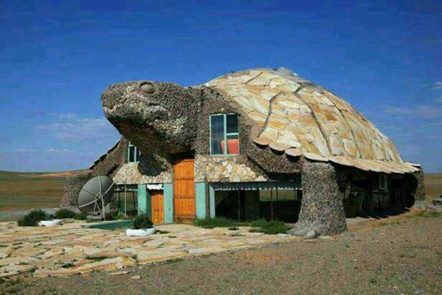 House formed as turtle