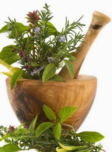 Herbs For Memory Concentration And Mental Focus Remedies