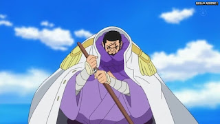 ワンピースアニメ ドレスローザ編 647話 藤虎 | ONE PIECE Episode 647