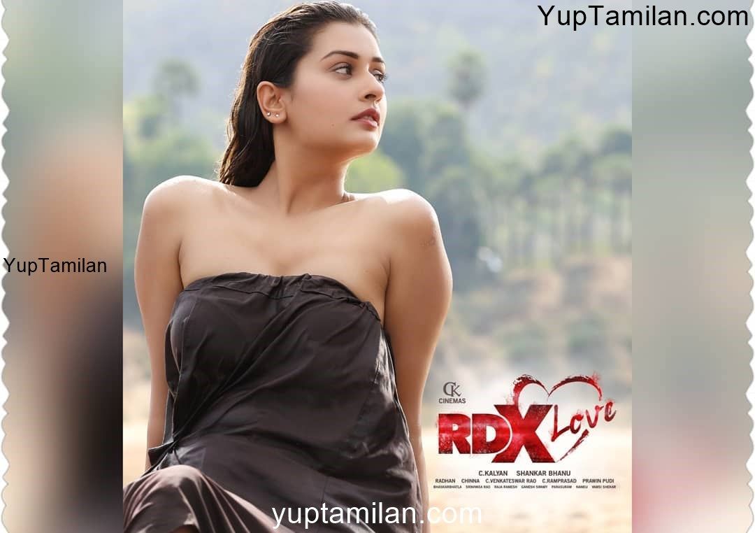 Payal Rajput Hot HD Images | Navel & Cleavage Show