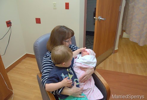 Apr15_04_21_2015_1198.NEF