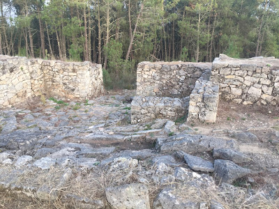 Hispania: San Cibrao de Las hill-fort   by E.V.Pita (2017) LINK: https://archeopolis.blogspot.com/2017/10/hispania-san-cibrao-de-las-hill-fort.html /   Castro de San Cibrao de Las  por E. V. Pita