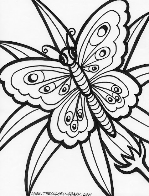 Nice Two Butterflies With Flowers Color Page Free Printablegarden Check  More At Http