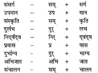 NCERT Solutions for Class 9 Hindi Sparsh Chapter 1 धूल