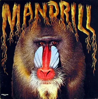 Baixar MANDRILL 1970