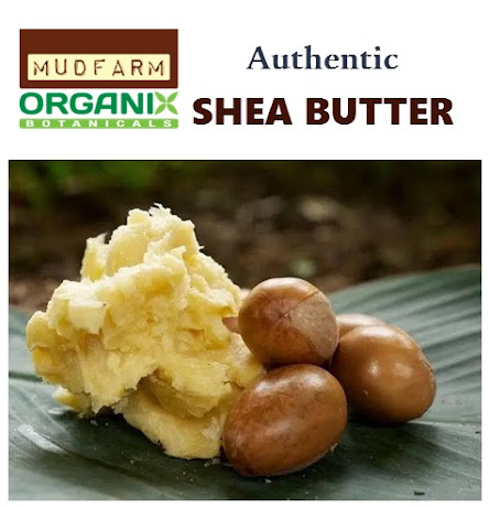 toronto shea butter