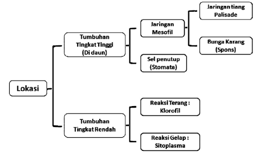 Terjadinya