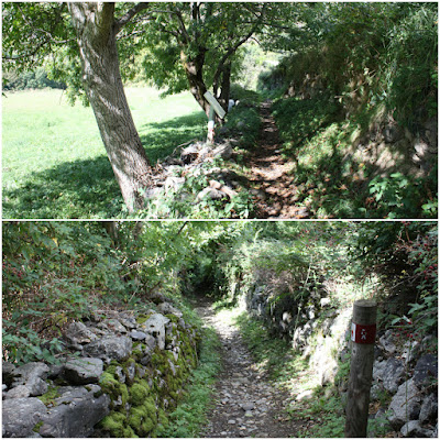 VALL DE BOÍ - BARRUERA - BOÍ - ERILL LA VALL - BARRUERA, camí entre Boí i els riu la Noguera de Tor en direcció al poble de Erill la Vall