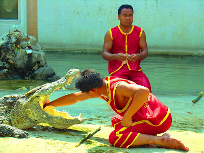 circus man sticking his hand into crocodile mouth