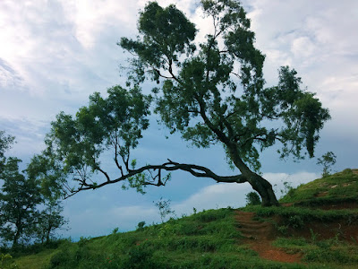 akcayatour, Embung Batara Sinten, Travel Malang Jogja, Travel Jogja Malang