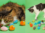 Free Hartz Cattraction Silver Vine & Catnip Cat Toys