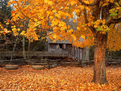 Autumn desktop wallpapers and photos