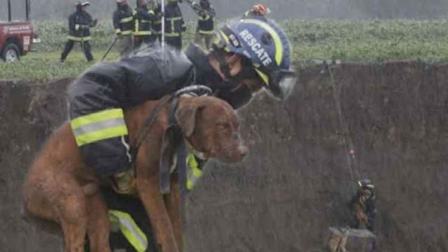 Héctor Hugo, el héroe que bajó 56 metros por los perritos en Puebla