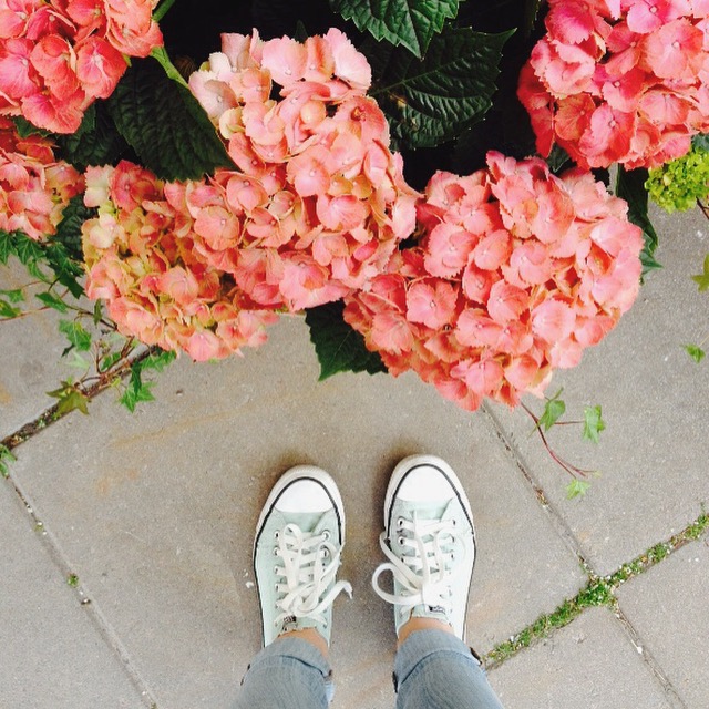 Flowers get me.