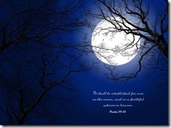 shining-moon_163_1024x768