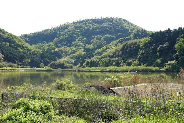 東郷湖一周ウォーキングコースからの眺めが綺麗です