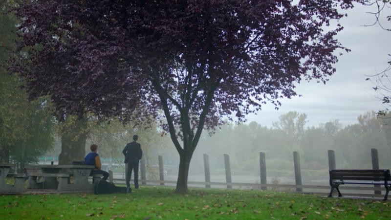 Archie setting in the park