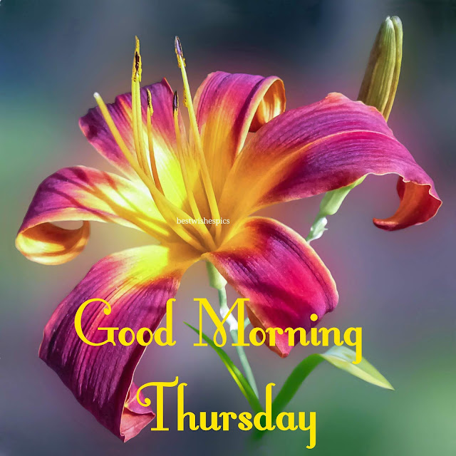 Good Morning Thursday